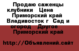 Продаю саженцы клубники › Цена ­ 150 - Приморский край, Владивосток г. Сад и огород » Другое   . Приморский край